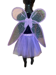 Zestaw motylka wróżka, skrzydełka i spódniczka