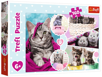 TREFL Puzzle 160 Elementów Urocze Kotki