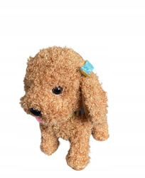 Piękny interaktywny piesek ze smyczą