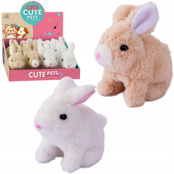 INTERAKTYWNY KRÓLIK KICA I PISZCZY RUSZA NOSKIEM USZAMI różne kolory